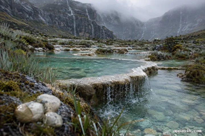 Close three-quarter view across rain-wet pale stone terraces and transparent jade pools in a misty highland basin, with sedges, moss, tiny cascades, and distant waterfalls.